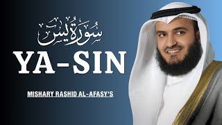 Surah Yasin Soothing Recitation | Sheikh Mishary Rashid Al-Afasy | Translation | #surahyaseen
