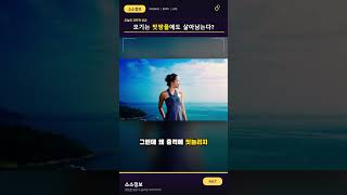 모기는 빗방울에 맞아도 왜 죽지 않을까?!