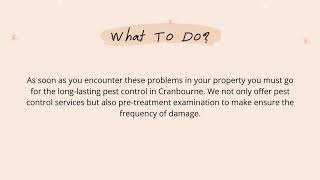 Types Of Pest Infestations | Pest Control Cranbourne