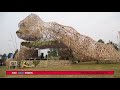 Impact of Kwita izina