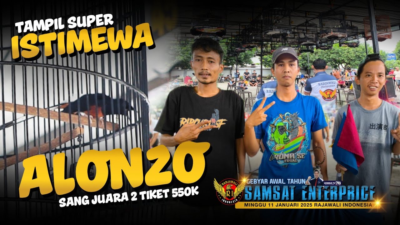 MURAI ALONZO!!!milik Mr.wawan ripcul brebes babat juara 2 tiket 550k samsat tegal
