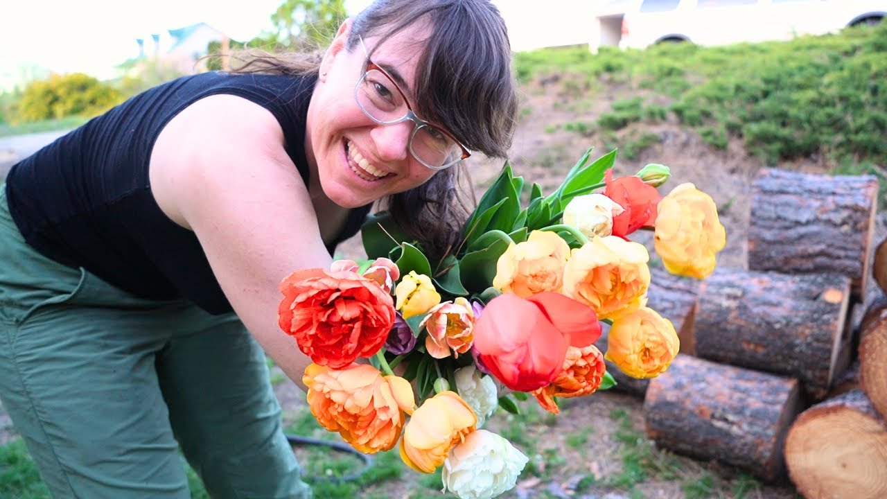 How to Harvest Tulips Like a Flower Farmer!