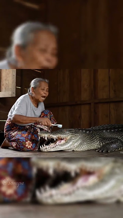nenek sikat gigi buaya#shortvideo