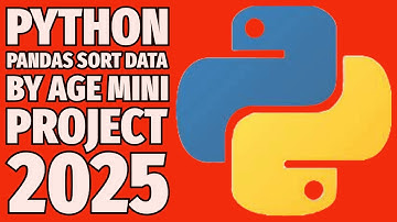 Python Pandas Sorting MADE EASY: Sort Data by Age: Beginners Project 2025
