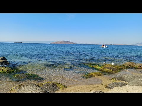 Sahilde Sabahın Erken Saatlerinde Balık Avı : Island Living In Türkiye