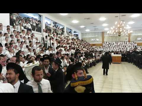 הקפות שניות בישיבת תפרח