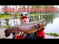 Zickige Lachsforellen bei Wild Teil 1 oder Ranibow Trout fishing in NL with Erwin Meiris