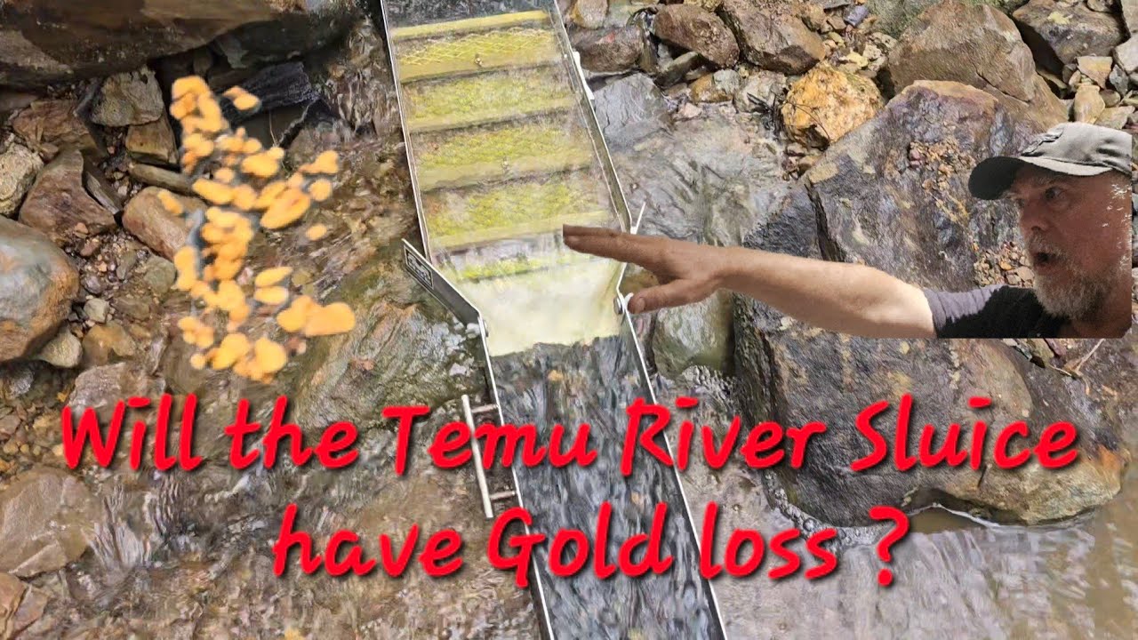 How much Gold did the Temu River Sluice  lose ?