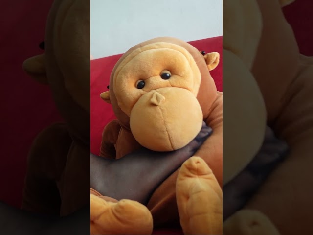 You can't stop watching this ASMR No Talking