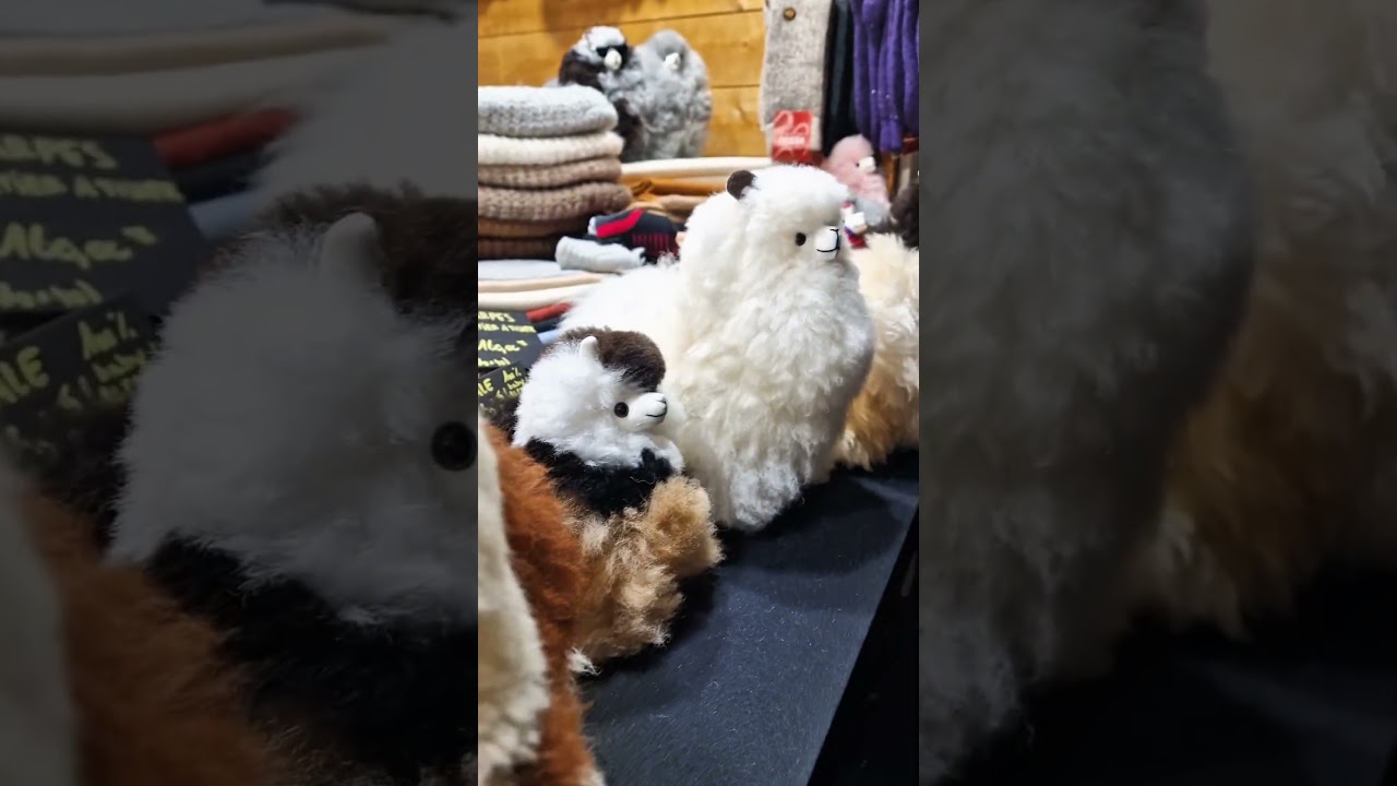 Marcher de No&euml;l Annecy 🎅🎄✨️ #annecy #marchedenoel #christmas #christmasvibes