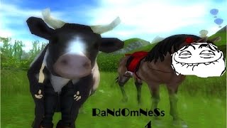 SSO - RaNdoMnESs 4