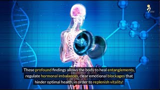 BodyTalk explained - Transform your health for harmonious living