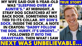 My Wife Said Our Son Was At Auntie’s — At Midnight A Stray Dog Brought Me His Sock With A Note