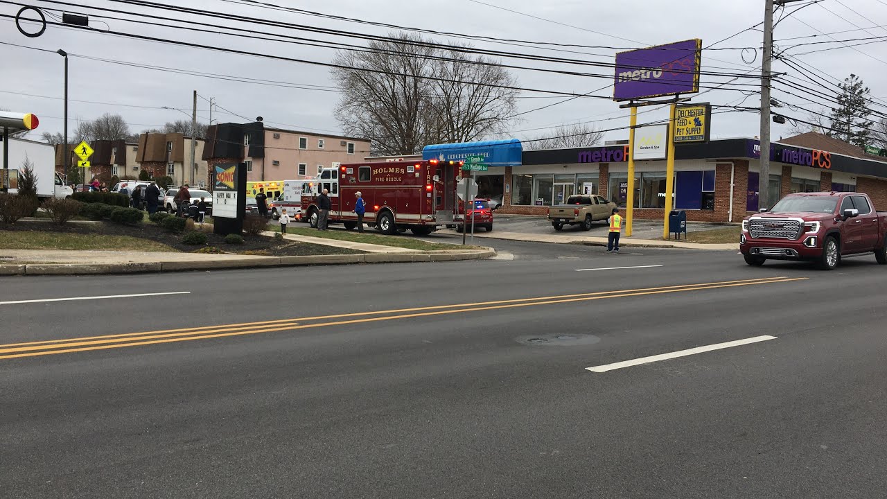 Car vs. Pet Store Glenside Avenue 11120 Ridley Township YouTube