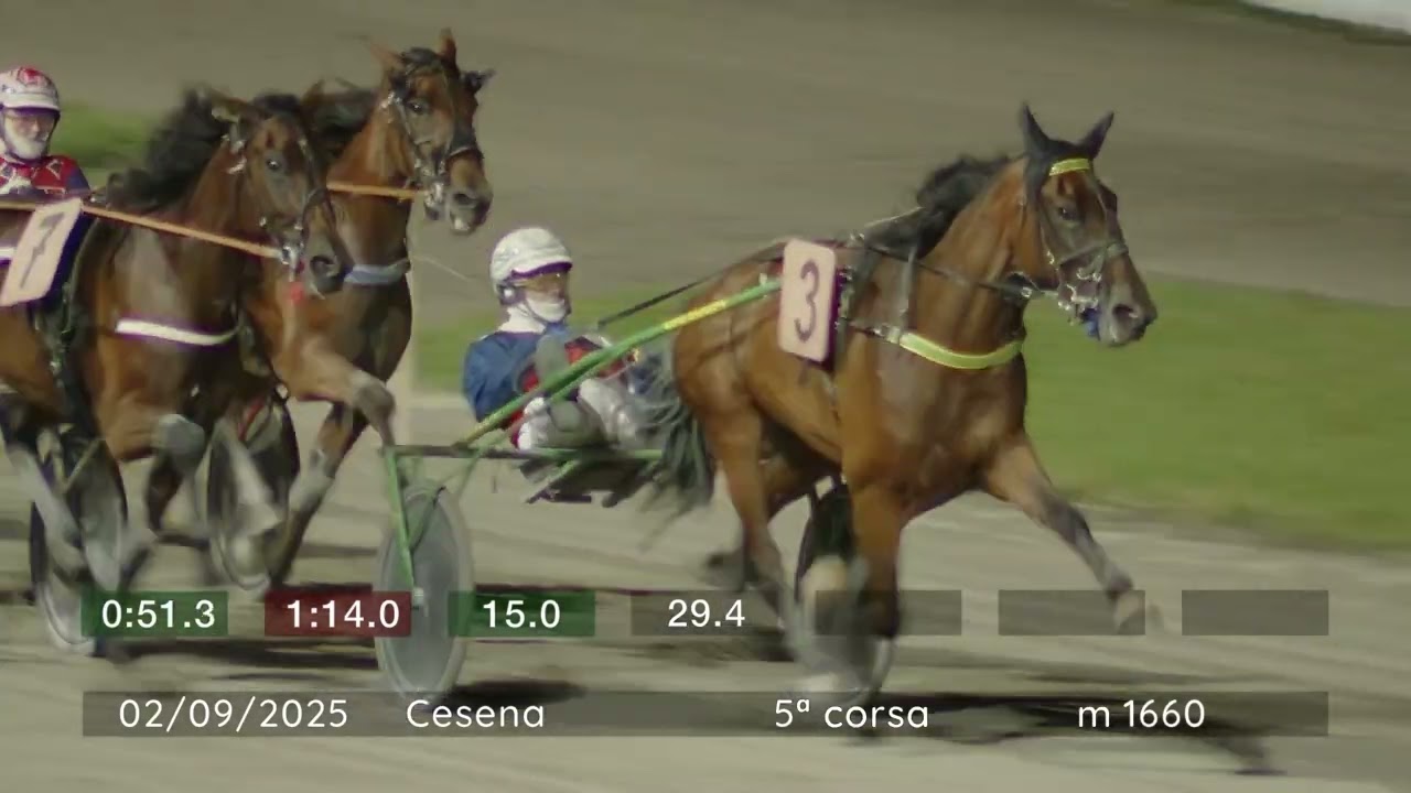 2025 09 02 | Corsa 5 | Metri 1660 | Premio Fischio Finale