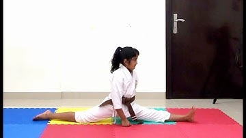 Routine Karate warm-up and stretch.