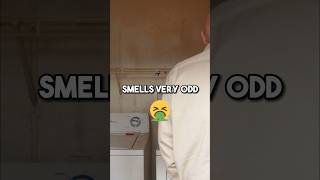 What Does a $60K House Looks Like!! #realestate #property #shorts