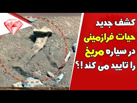 با کشف جدید امیدها برای تایید حیات فرازمینی در مریخ قوت گرفت