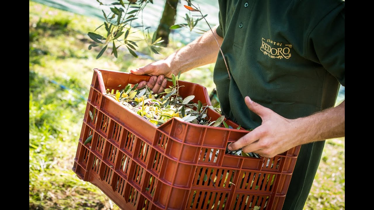 Olio Extra Vergine Italiano REDORO