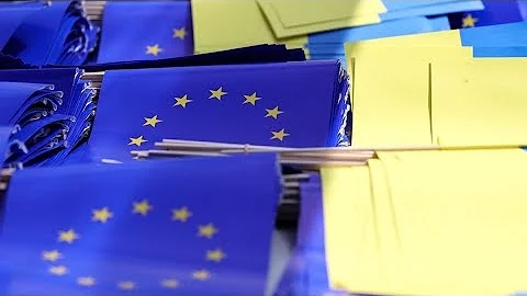 EU Working to Offer Ukraine 'Seamless' Single Market Access - DayDayNews