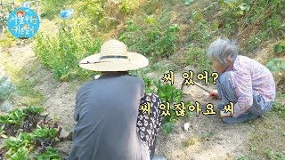 Country Story of City Couple EP.103