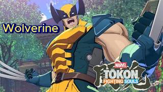 Wolverine Combos - Marvel Tokon