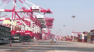 US adds Chinese entities to export blacklist | REUTERS