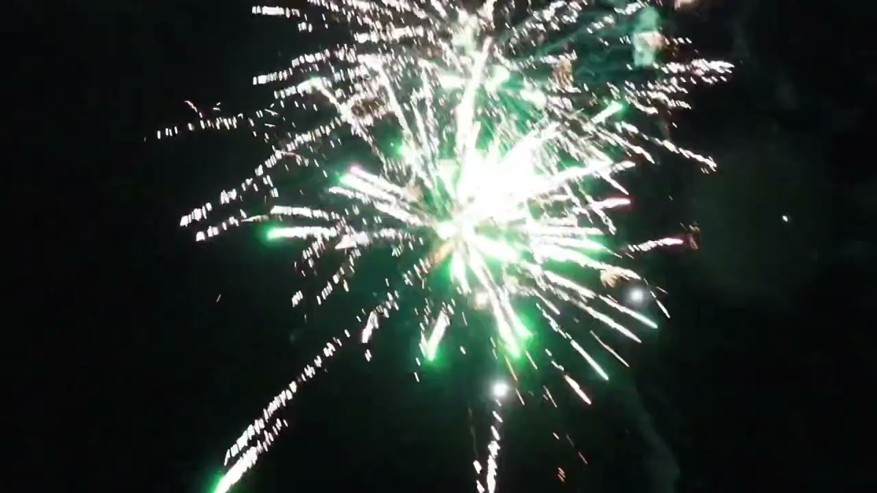 Mr. Moneybags 49 shot color/salute 