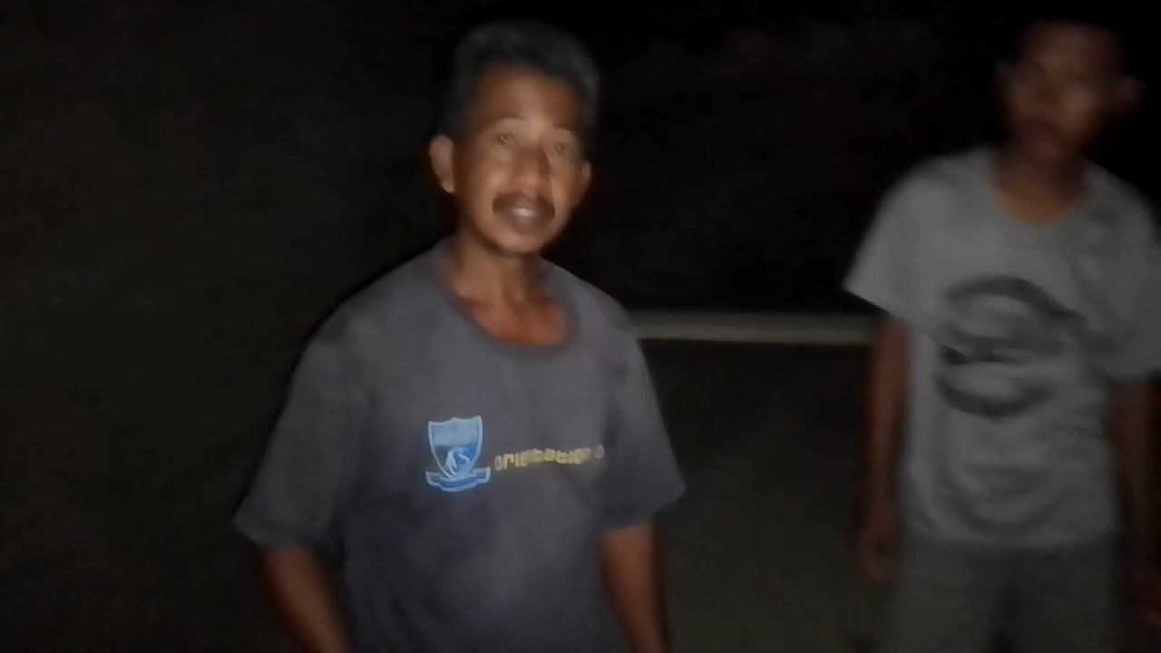 Belajar Usaha Burung Walet Bagi pemula 