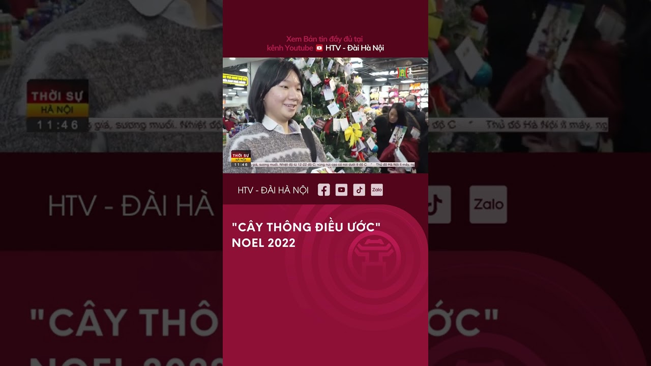 Cây thông điều ước Noel 2022 - Tin tức xã hội mới nhất - youtube