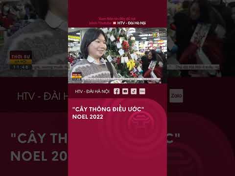Video Cây thông điều ước Noel 2022 - Tin tức xã hội mới nhất - youtube