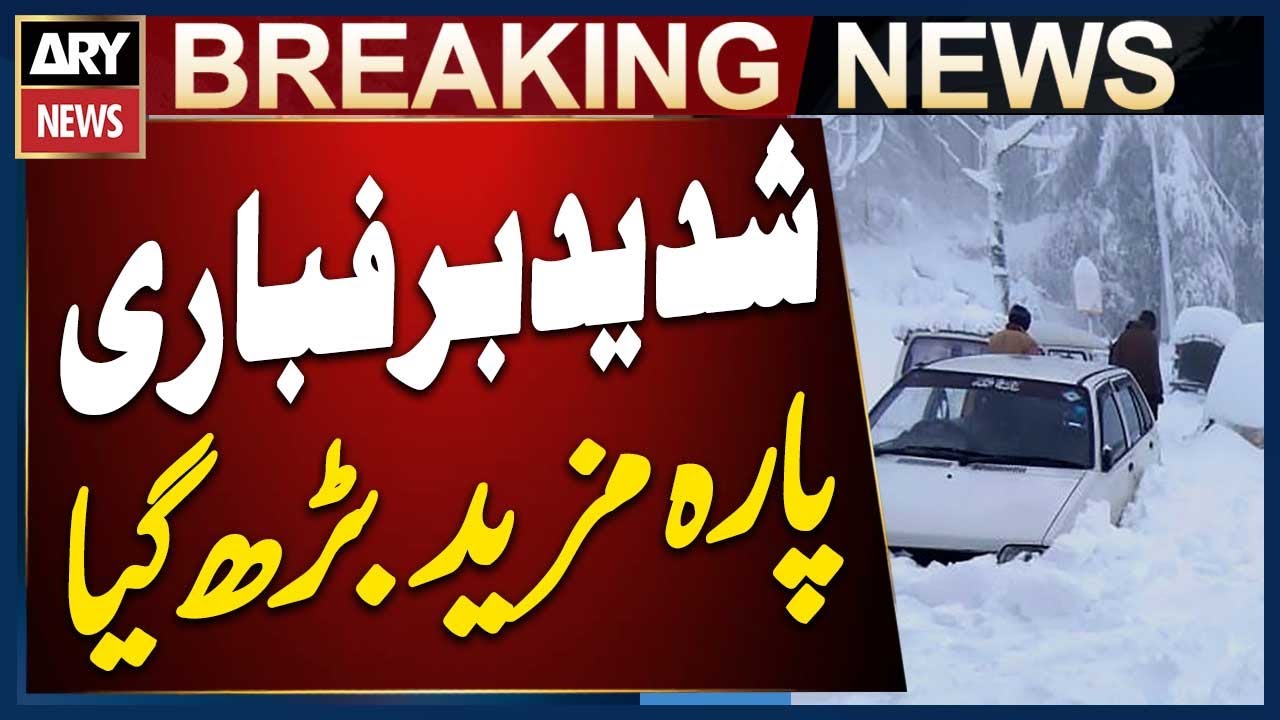 Heavy Snowfall Intensifies | Extreme Cold Grips the Region