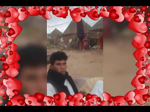 بدر حامد نافع الشاعر الرشيدي 