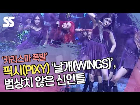 픽시(PIXY) &amp;#<strong>39</strong>;날개(<strong>WINGS</strong>)&amp;#<strong>39</strong>; 무대, 범상치 않은 신인들