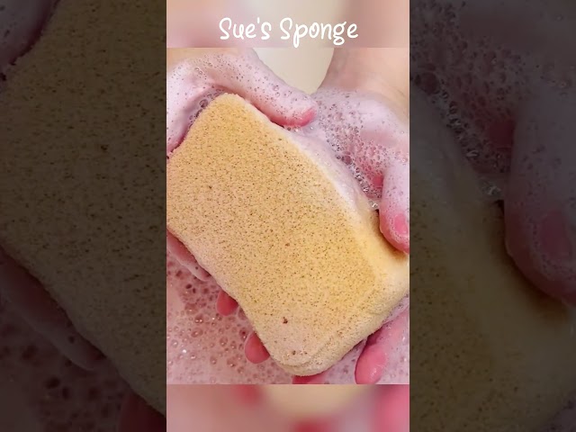 ASMR Body Sponge x Recycle Soap