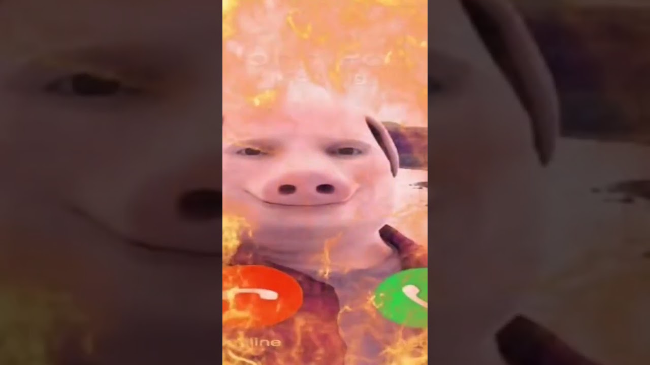 John pork misses u😳🗿 