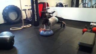 Soft Bosu Elbow push up screenshot 2