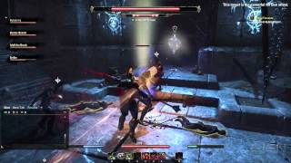 The Elder Scrolls Online High-Level Dungeon Battle