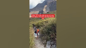 chiều 19/10 triệu triệu trái tim từ bi yêu kính Ngài,ai cũng khóc#suminhtue #shortvideo