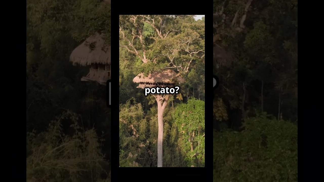 World’s Most Unique Airbnbs