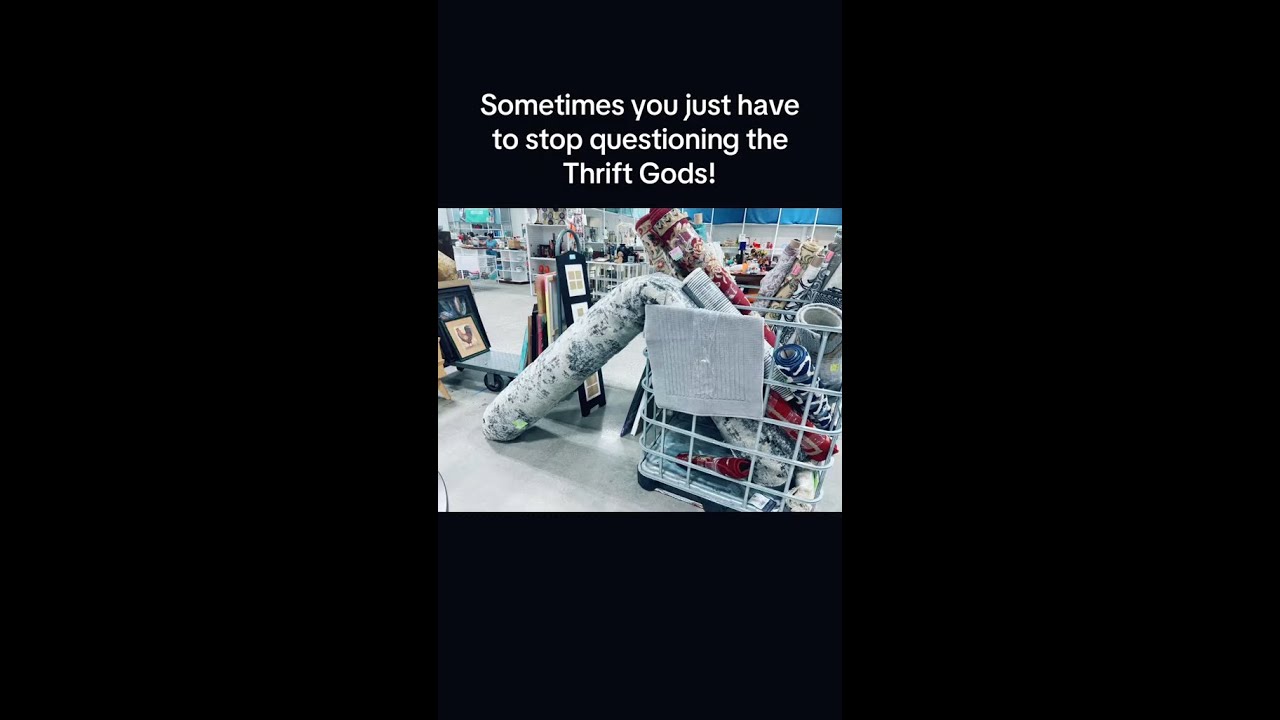 Entrepreneur Debates Thrift Store Rug! 