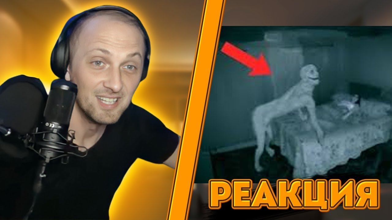 зубарев стрим. зубарев стрим. зубарев стример. зубарев смотрит кот. зубарева стример.