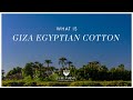 What Is Giza Egyptian Cotton? | PURE PARIMA