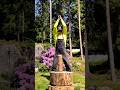 Chopping firewood | slow motion video | precise hit