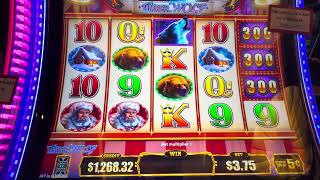 Jackpot Carnival Timber Wolf $40.00 a pull Let’s do this! ​⁠@hardrocktampa