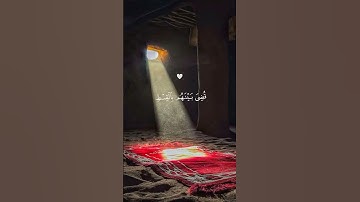 ولكل أمة رسول فإذا جاء رسولهم | عبد الرحمن مسعد - الأية 47 من سورة يونس 🎧