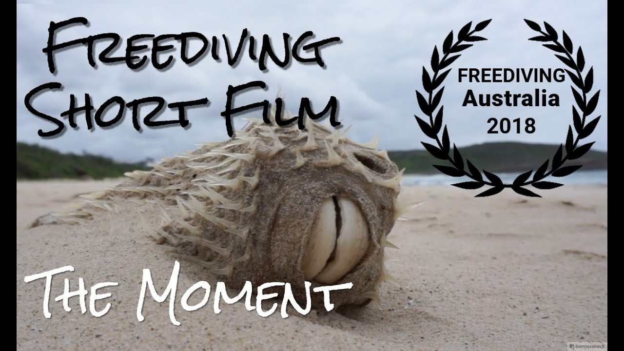 Epic Freediving Short Film 'The Moment' HD, filmed on breath hold by