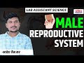 Human reproductive system || मानव जनन तंत्र  || Bio expert : Bhavesh jain sir