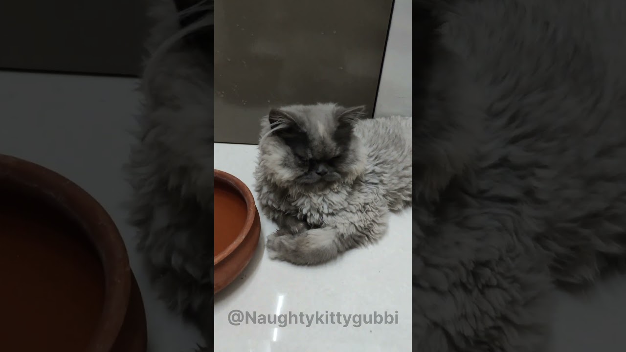 Summer is so hot 🥵 🌅 