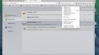Web Developer Toolbar basic usage